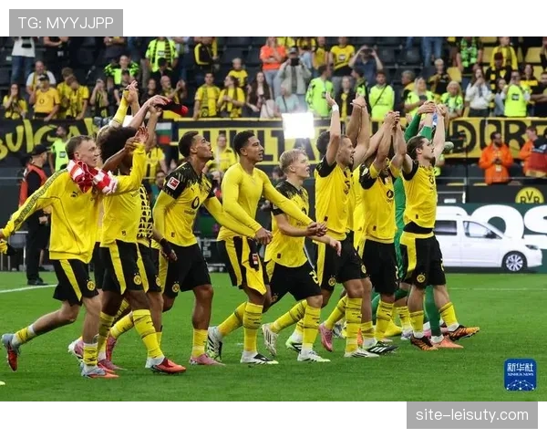 专栏:传统德国力量型足球在当今德甲是否仍有生存空间? 专栏:传统德国力量型足球在当今德甲是否仍有生存空间?